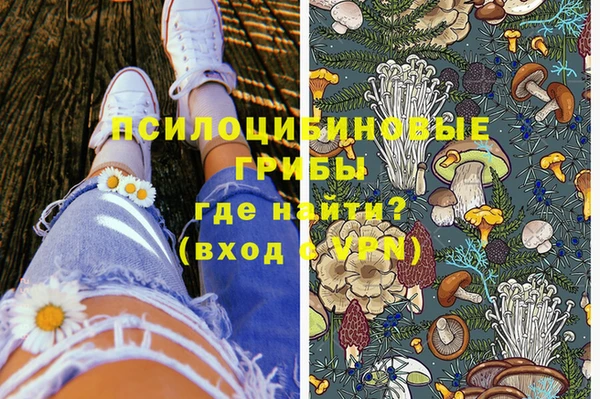 сатива Балабаново