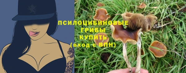 MESCALINE Баксан