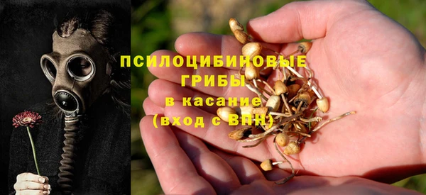 сатива Балабаново