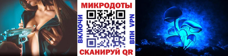 Псилоцибиновые грибы Psilocybe  где купить   Чадан 