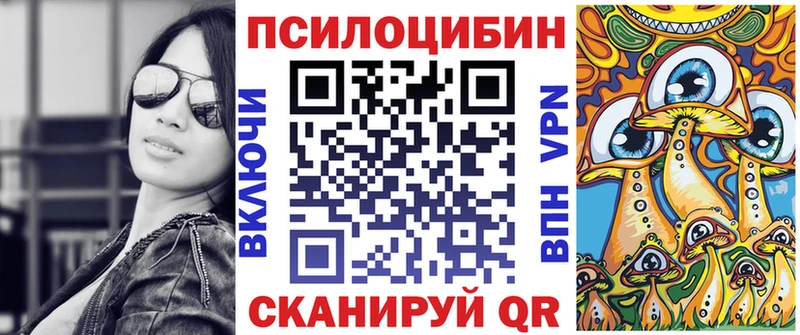 Псилоцибиновые грибы Cubensis Чадан